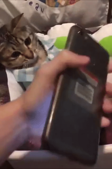 스마트폰 중독 ㄷㄷ | 인스티즈