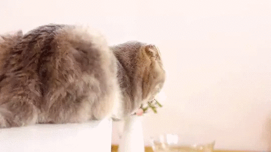 수리 노을의 이즈 | 인스티즈