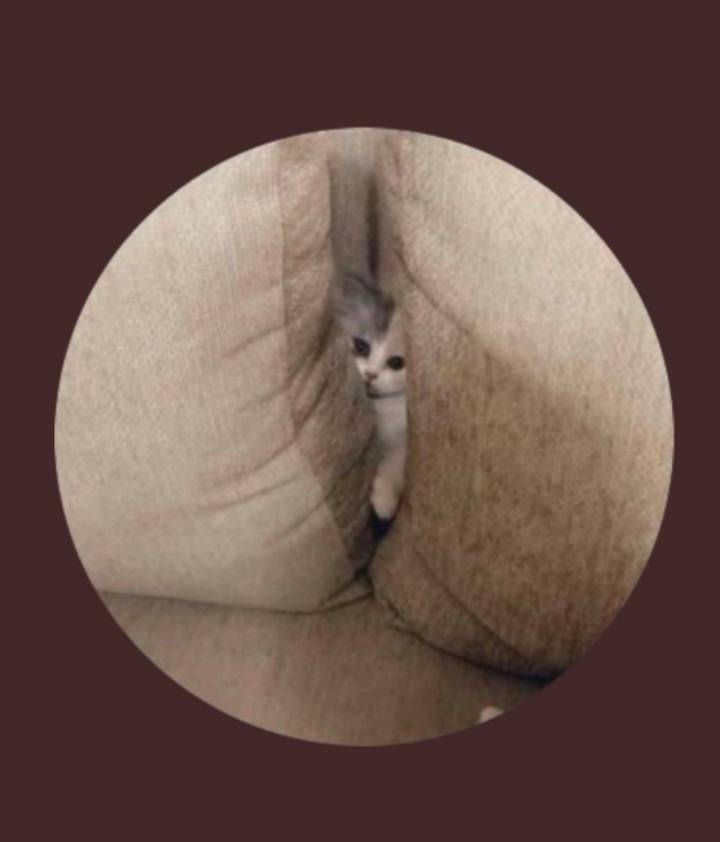 미리보기로 보면 똥꾸멍 | 인스티즈