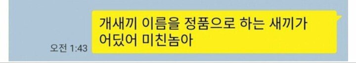 복돌이는 불법같아서 싫다는 친구.jpg | 인스티즈