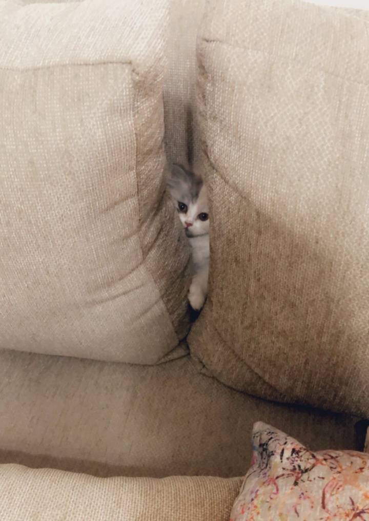 미리보기로 보면 똥꾸멍 | 인스티즈