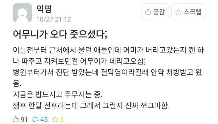 어머니 : 오다 주웠다.jpg | 인스티즈