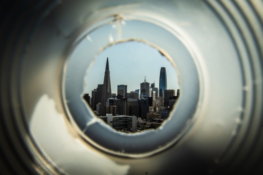  숲으로 간다 | 인스티즈