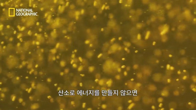 댈롤 화산: 지옥과 같은 이곳에 사는 단 하나의 생명체 | 인스티즈