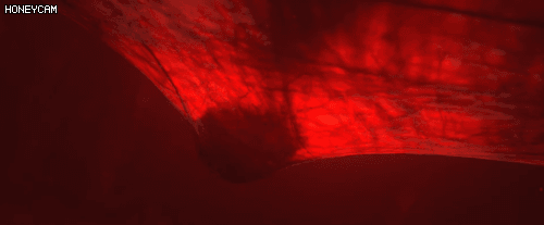 디아블로 4 메인빌런 릴리스.gif | 인스티즈