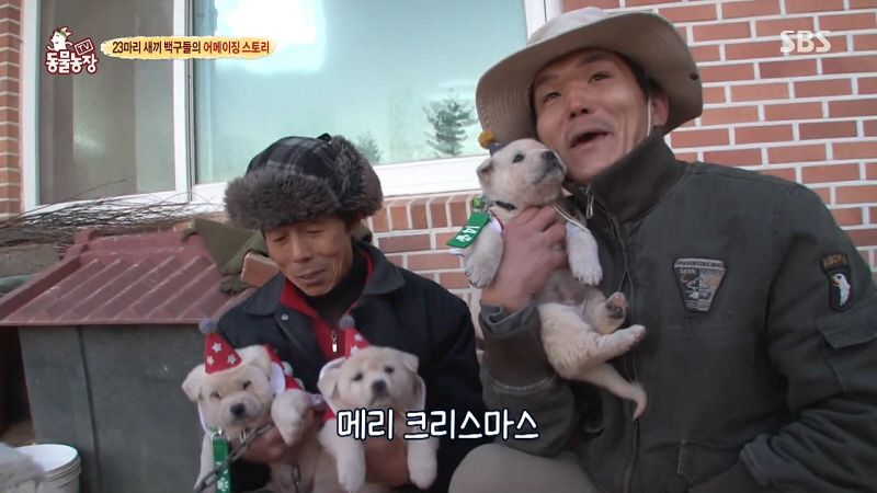 동물농장 취재진이 23마리 아기백구네 집에 찾아갔을 때 제일 처음 맞이한 광경.jpg | 인스티즈