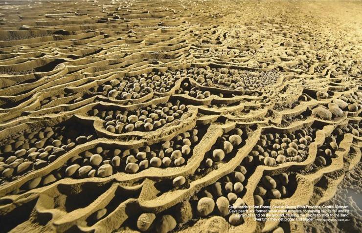 상상속의 동물이 살고 있을것 같은 세계 최대의 동굴(베트남 항손둥 동굴).jpg | 인스티즈