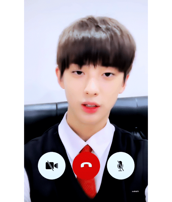 어느 모델이 키우고 있는 강아지....jpg | 인스티즈