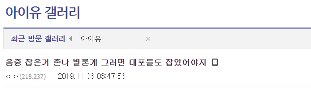 아이유 콘서트 음성중계한 팬 경찰에 넘긴 뒤 반응 | 인스티즈