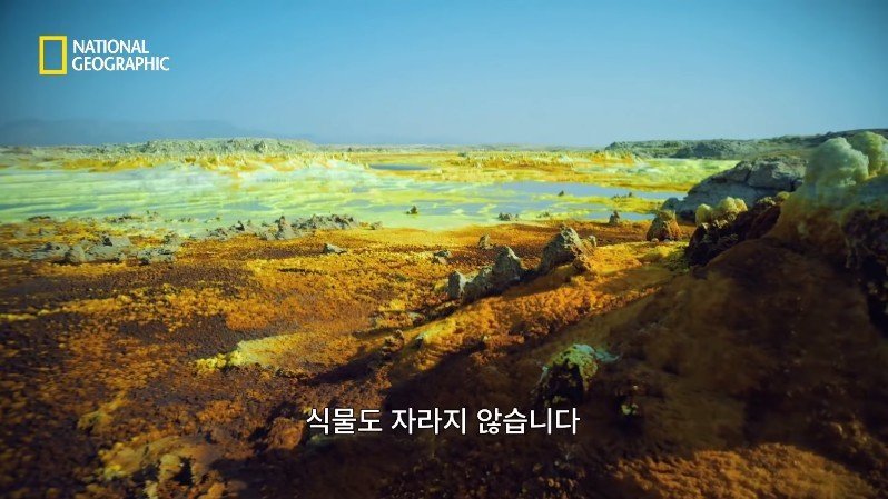 댈롤 화산: 지옥과 같은 이곳에 사는 단 하나의 생명체 | 인스티즈