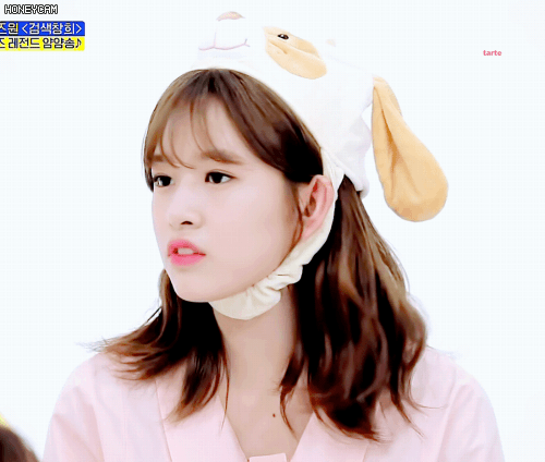 아이즈원 안댕댕 | 인스티즈