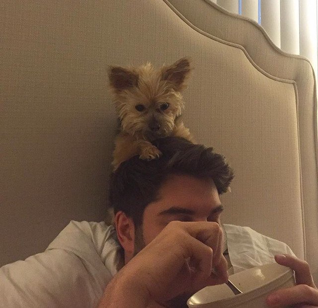 어느 모델이 키우고 있는 강아지....jpg | 인스티즈