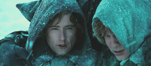 어른이 되고나서 다르게 느껴지는 영화 반지의 제왕 | 인스티즈