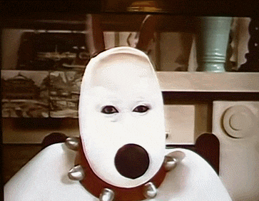 월레스와 그로밋 실사.gif | 인스티즈