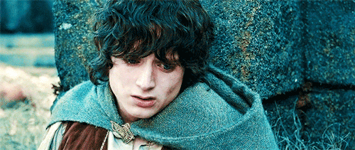 어른이 되고나서 다르게 느껴지는 영화 반지의 제왕 | 인스티즈