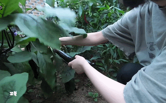 추석날 시골집에 놀러간 여자친구 은하.gif | 인스티즈