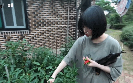 추석날 시골집에 놀러간 여자친구 은하.gif | 인스티즈