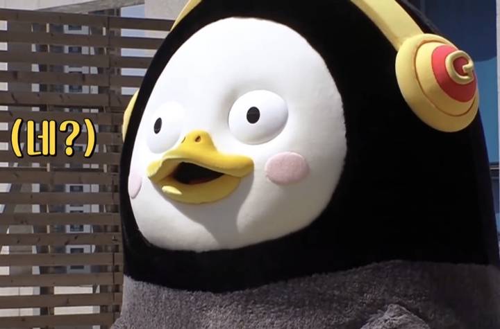  펭수 짤 모음 | 인스티즈