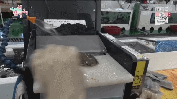 전국에서 회 제일 빨리 뜨는 곳.jpgif | 인스티즈