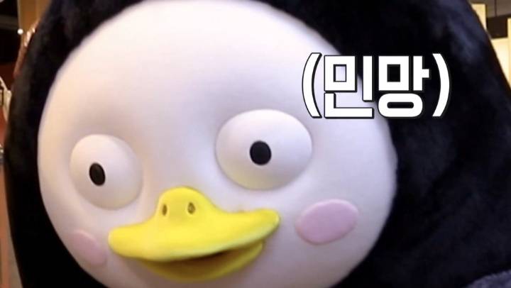  펭수 짤 모음 | 인스티즈