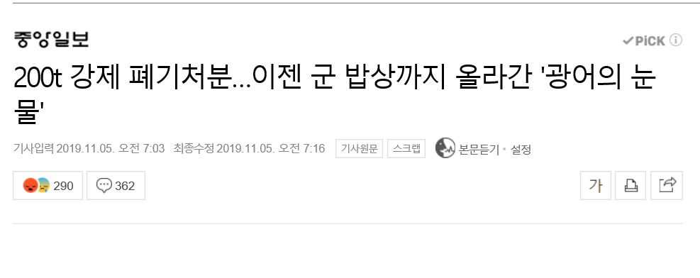 생선회가격 13년만에 최대폭 하락... 8개월 연속 내림세 | 인스티즈