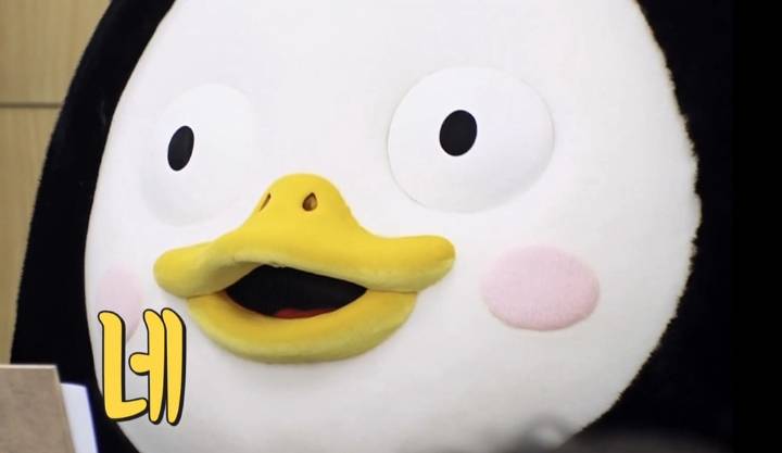  펭수 짤 모음 | 인스티즈