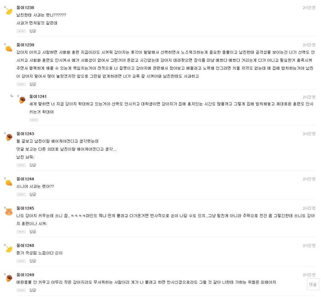 남친이 우리집 강아지 때렸어 | 인스티즈