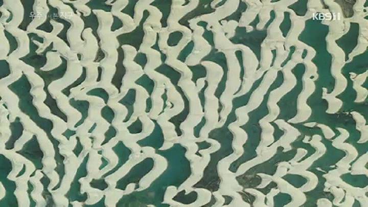 거북이가 사막을 건너는 이유 .jpgif | 인스티즈