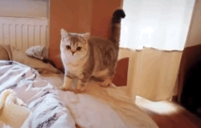 화면 가까이에 뽀뽀하면서 들어와봐 | 인스티즈