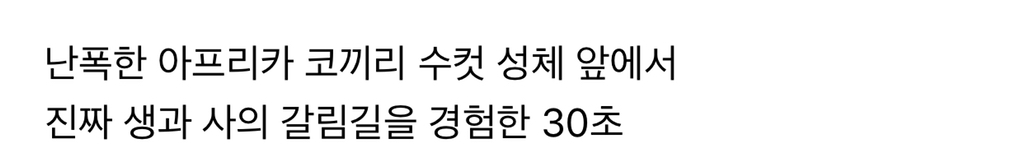 진짜 죽을지도 모르는 공포 속에서 미동도 못한 30초.jpgif | 인스티즈