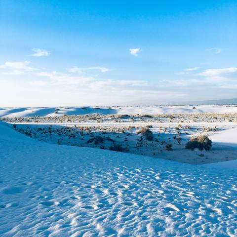 뉴멕시코에 위치한 하얀모래 사막 | 인스티즈