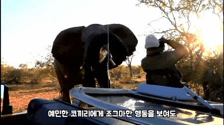 진짜 죽을지도 모르는 공포 속에서 미동도 못한 30초.jpgif | 인스티즈