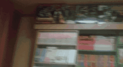 대한민국 드래곤볼 끝판왕이 여깄다. | 인스티즈