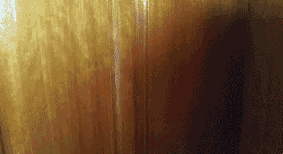 대한민국 드래곤볼 끝판왕이 여깄다. | 인스티즈