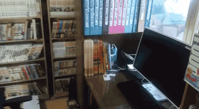 대한민국 드래곤볼 끝판왕이 여깄다. | 인스티즈