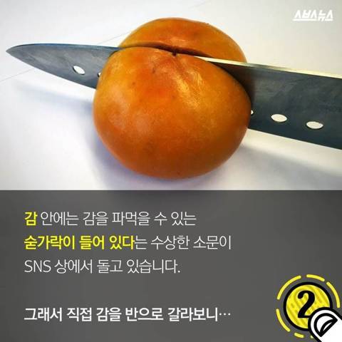감안에 들어있는 숟가락 | 인스티즈