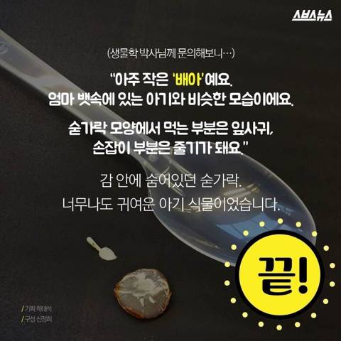 감안에 들어있는 숟가락 | 인스티즈