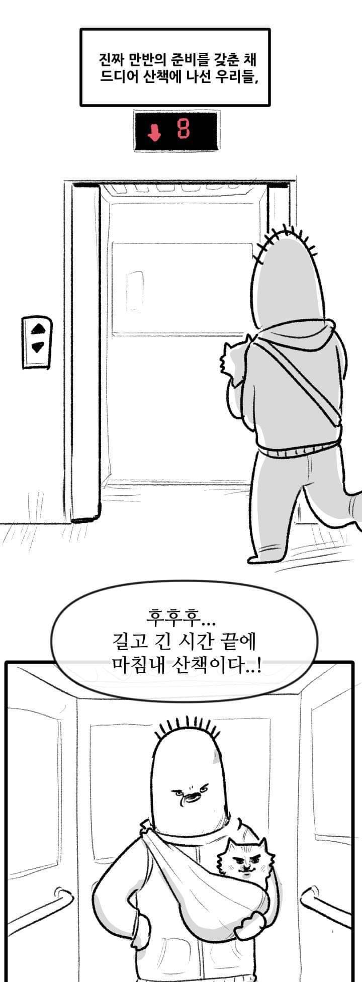 우리집 고양이 이야기.manhwa | 인스티즈