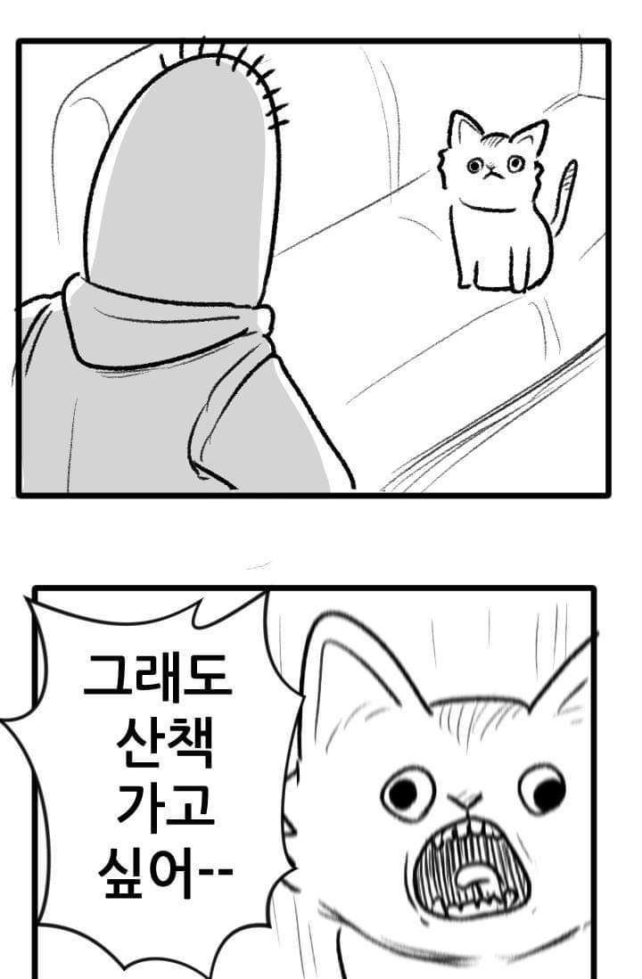 우리집 고양이 이야기.manhwa | 인스티즈