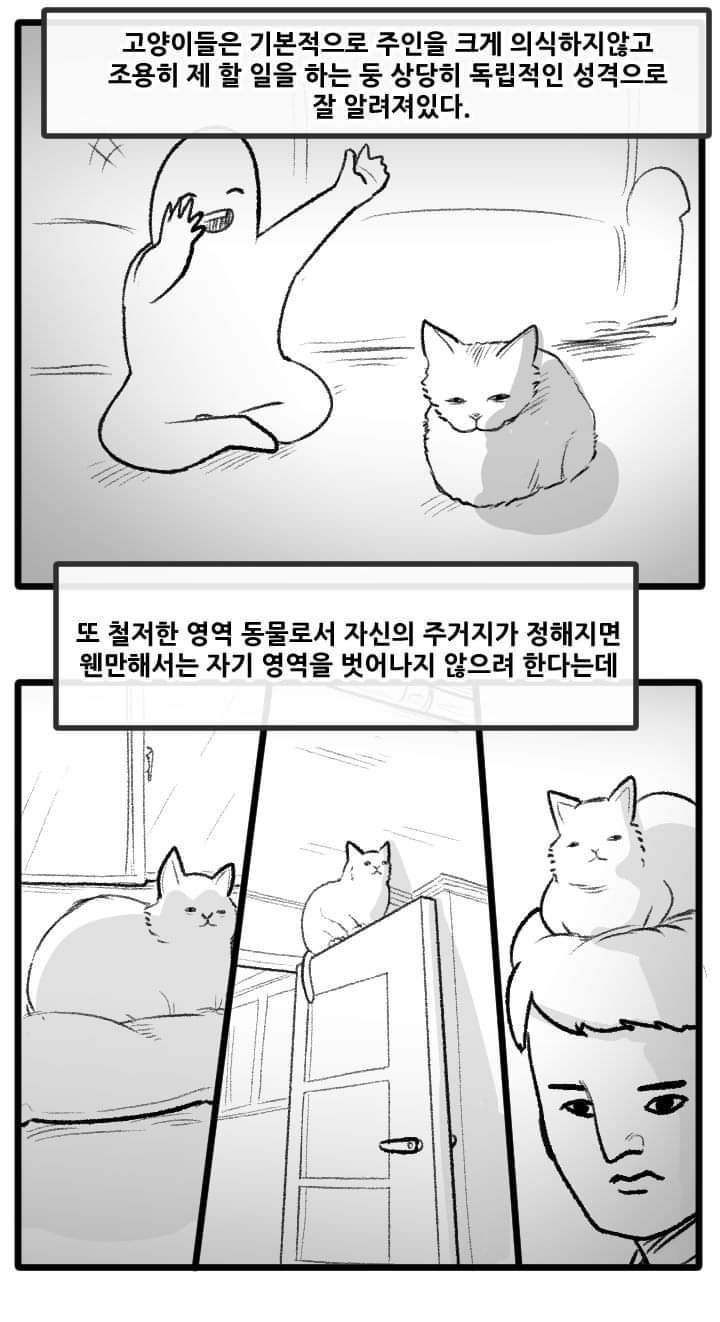 우리집 고양이 이야기.manhwa | 인스티즈