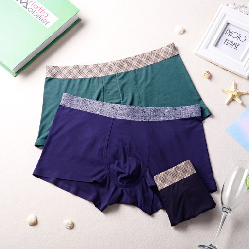 본인이 선호하는 팬티유형은? | 인스티즈