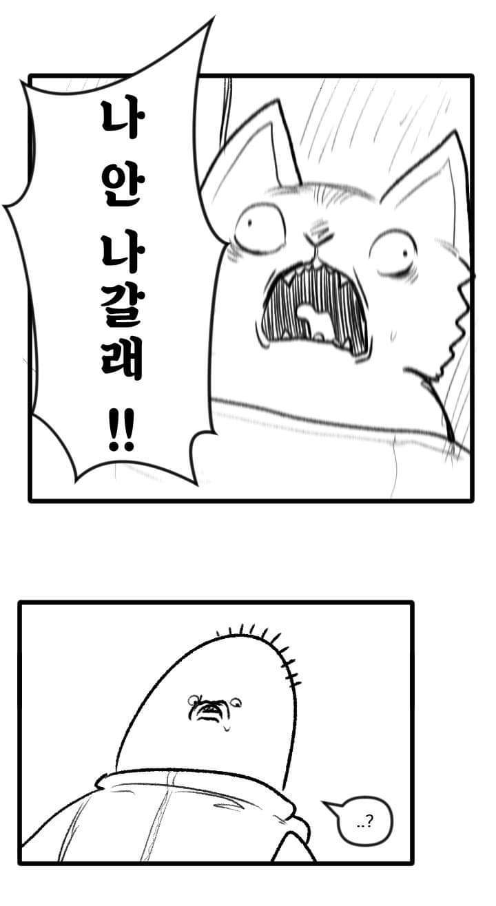 우리집 고양이 이야기.manhwa | 인스티즈