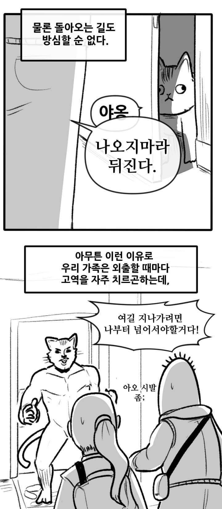 우리집 고양이 이야기.manhwa | 인스티즈