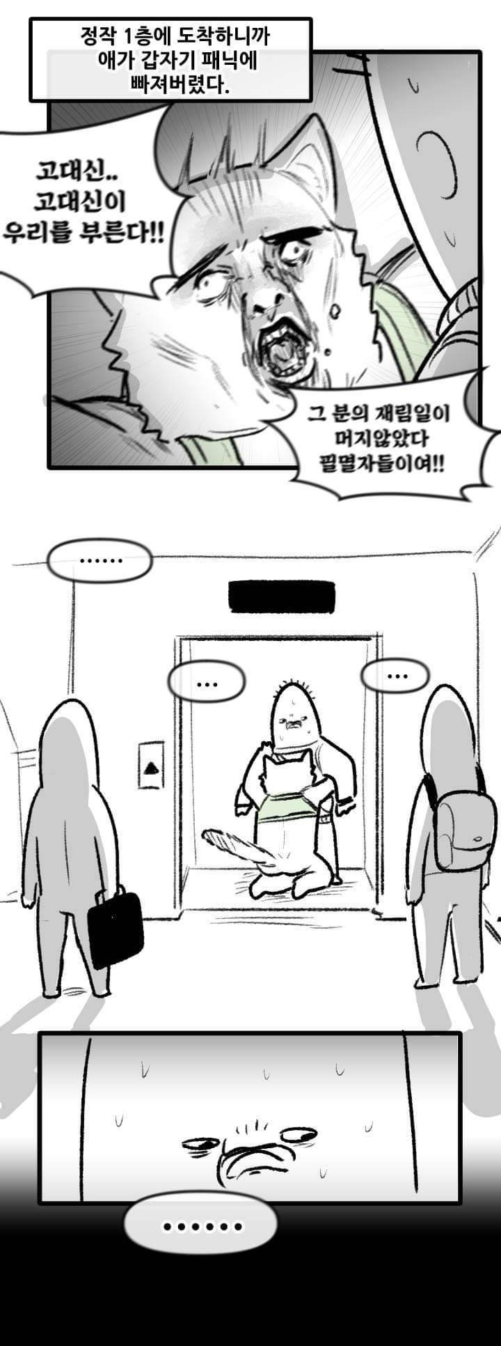 우리집 고양이 이야기.manhwa | 인스티즈