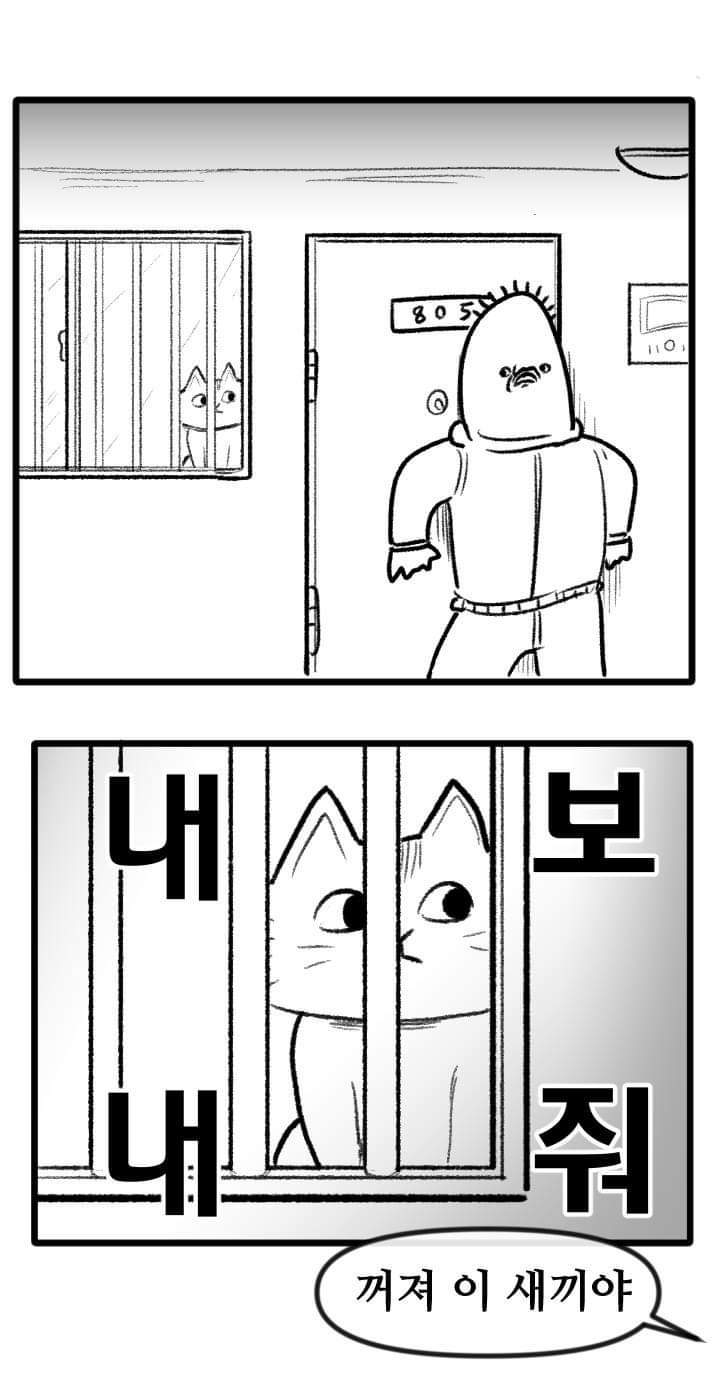 우리집 고양이 이야기.manhwa | 인스티즈