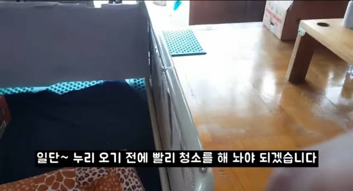 어머냥이 눈치보면서 냥이집 청소하는 아저씨ㅋㅋㅋ.jpg | 인스티즈