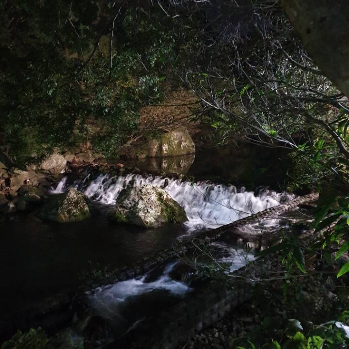 👣3박 4일 제주도 뚜벅이 여행👣 - 1일 차 | 인스티즈