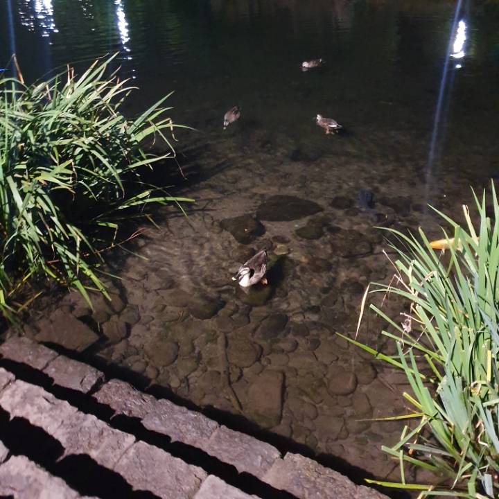 👣3박 4일 제주도 뚜벅이 여행👣 - 1일 차 | 인스티즈