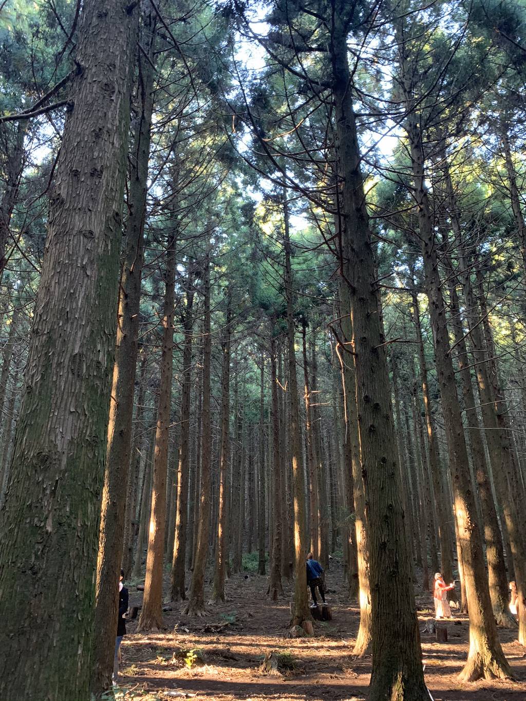제주도 여행 마지막 날.. | 인스티즈
