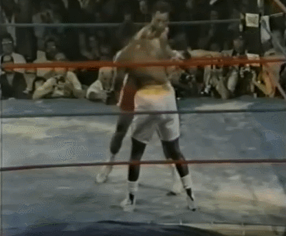 복싱 헤비급 역사상 최고의 파이터들 4명이 전성기 실력으로 붙는다면 최후의 승자는? | 인스티즈